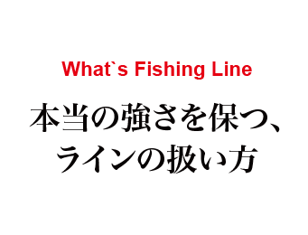 What's Fishing Line 本当の強さを保つ、ラインの扱い方
